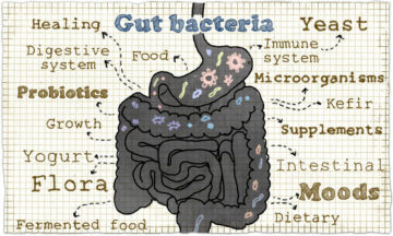 Glicemia e microbiota buono