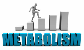 Come funziona il metabolismo?